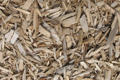biomass boilers Murch